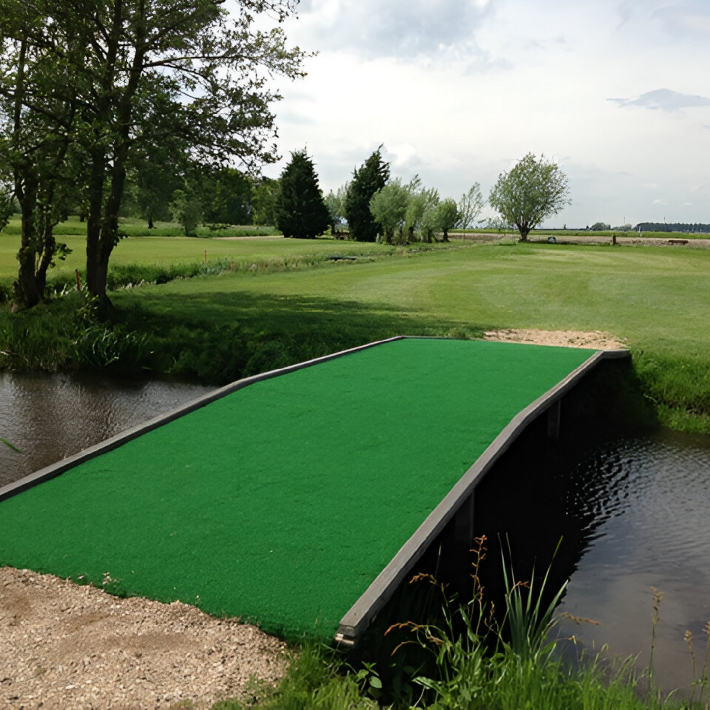 Grass turf for walkway